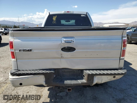 2009 Ford F-150 XL with VIN 1FTPW14V39FA07124, listed as a Copart auction lot 58660225 with 169,321 mi miles and Salvage title. Bid and sale history available at DreamBid. Image 6.