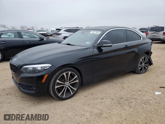 2020 BMW 2 Series 230i with VIN WBA2J1C09L7E60485, listed as a Copart auction lot 44817925 with 53,159 mi miles and Clean Title. Bid and sale history available at carsss.com. Image 1.