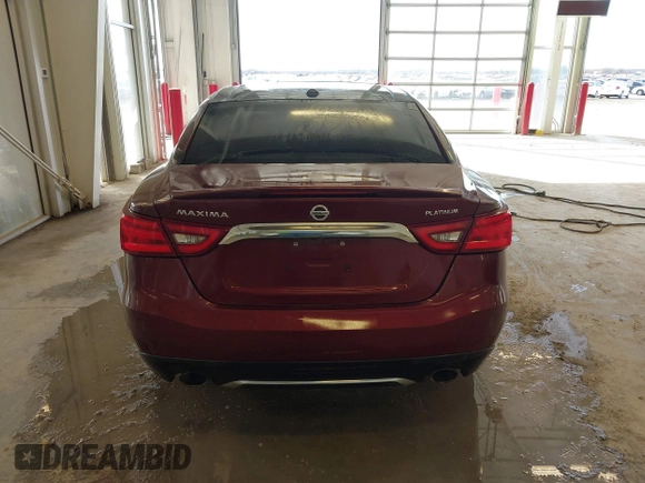 2016 Nissan Maxima 3.5 SV with VIN 1N4AA6APXGC445036, listed as a IAAI auction lot 41660079 with 119,287 mi miles. Bid and sale history available at carsss.com. Image 16.