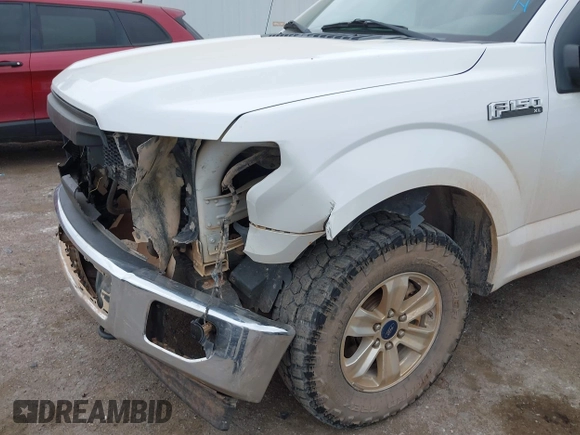 2017 Ford F-150 XL with VIN 1FTFX1EF0HFA09802, listed as a IAAI auction lot 42062781 with 124,279 mi miles. Bid and sale history available at carsss.com. Image 6.