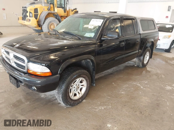 2004 Dodge Dakota Sport with VIN 1D7HG38N24S501391, listed as a IAAI auction lot 41736751 with 213,299 mi miles and . Bid and sale history available at carsss.com. Image 2.