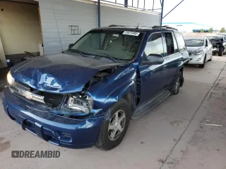 2005 Chevrolet TrailBlazer LS with VIN 1GNDS13S452253534, listed as a Copart auction lot 53675485 with 115,886 mi miles and Salvage Title. Bid and sale history available at carsss.com. Image 1.