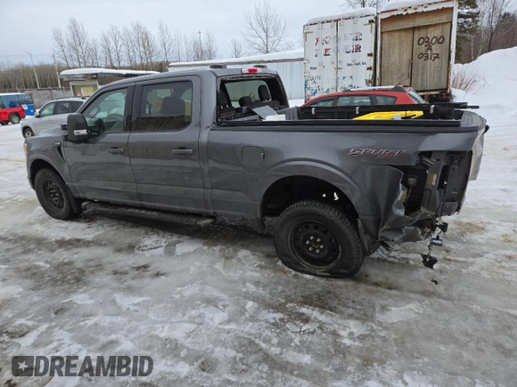 2022 Ford F-150 XL with VIN 1FTFW1E59NFB88380, listed as a Copart auction lot 46898615 with 41,802 mi miles and Salvage Title. Bid and sale history available at carsss.com. Image 2.