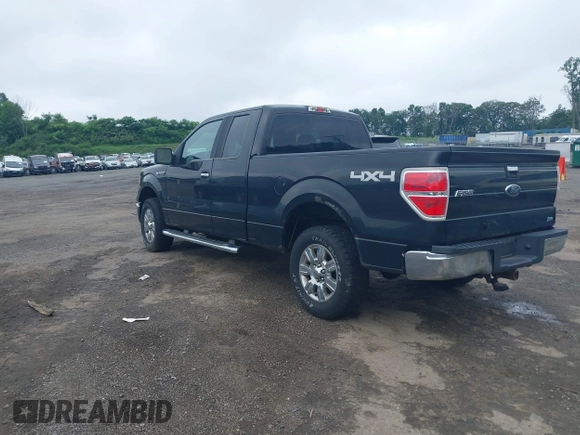 2010 Ford F-150 XL with VIN 1FTFX1EV8AFC46471, listed as a IAAI auction lot 42749255 with 169,134 mi miles and . Bid and sale history available at DreamBid. Image 3.