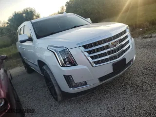 2020 Cadillac Escalade Premium Luxury with VIN 1GYS3CKJ6LR231499, listed as a Copart auction lot 81338164 with 0 mi miles and Salvage Title. Bid and sale history available at carsss.com. Image 4.