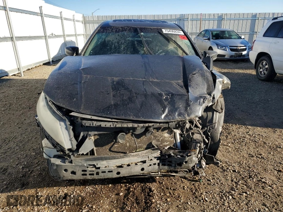 2010 Honda Accord Crosstour EX-L with VIN 5J6TF2H50AL800444, listed as a Copart auction lot 75496834 with Not Provided miles and Salvage Title. Bid and sale history available at carsss.com. Image 5.