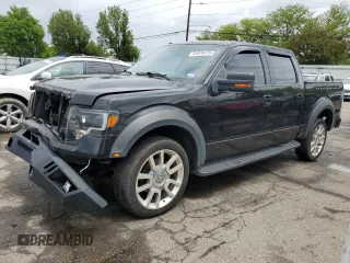 2010 Ford F-150 XL with VIN 1FTFW1EV1AFA47717, listed as a Copart auction lot 55978475 with 157,986 mi miles and Clean Title. Bid and sale history available at DreamBid. Image 1.