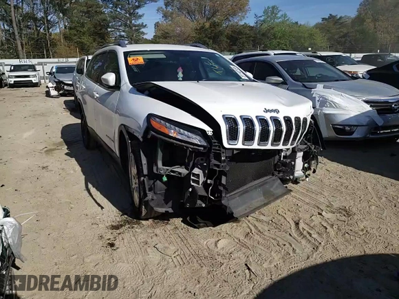 2016 Jeep Cherokee Limited with VIN 1C4PJLDB9GW221886, listed as a Copart auction lot 49076615 with 140,957 mi miles and Non Repairable. Bid and sale history available at carsss.com. Image 12.