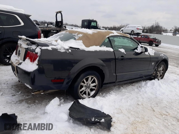 2009 Ford Mustang with VIN 1ZVHT84N395121827, listed as a Copart auction lot 41651645 with 117,203 mi miles and Clean title. Bid and sale history available at DreamBid. Image 3.