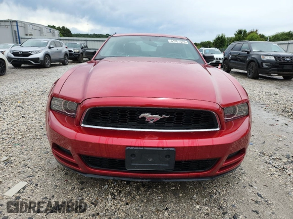 2013 Ford Mustang V6 с VIN 1ZVBP8AM2D5267439, выставлен на аукционе Copart как лот 61307575 с пробегом 109 401 миль миль и Списание • Salvage title. История ставок и продаж доступна на DreamBid. Изображение 5.