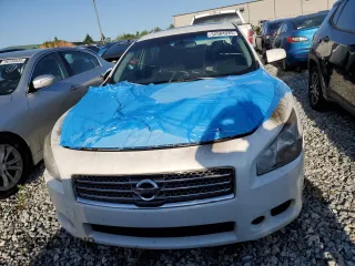 2011 Nissan Maxima SV with VIN 1N4AA5AP6BC836980, listed as a Copart auction lot 52584935 with Not provided miles and Non repairable. Bid and sale history available at DreamBid. Image 5.