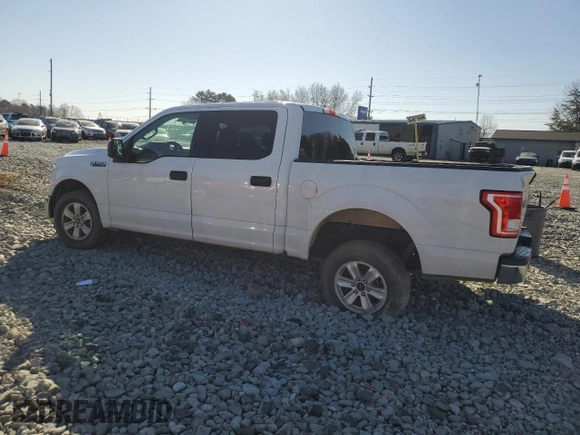 2017 Ford F-150 XL with VIN 1FTEW1CF7HFB11695, listed as a Copart auction lot 45358725 with 113,205 mi miles and Salvage Title. Bid and sale history available at carsss.com. Image 2.