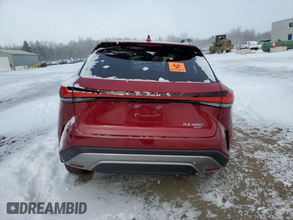 2023 Lexus RX 350 with VIN 2T2BAMCA1PC034705, listed as a Copart auction lot 51819405 with Not provided miles and Clean title. Bid and sale history available at DreamBid. Image 6.