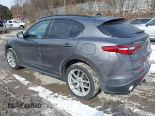2019 Alfa Romeo Stelvio z VIN ZASPAKAN5K7C49428, wystawiony jako IAAI lot #41590351 z przebiegiem 60 052 mil mil oraz . Historia ofert i sprzedaży dostępna na DreamBid. Obrazek 3.