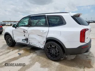 2022 Kia Telluride SX with VIN 5XYP5DHC2NG196482, listed as a Copart auction lot 59324935 with 17,850 mi miles and Clean title. Bid and sale history available at DreamBid. Image 2.