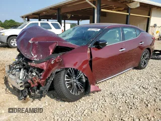 2017 Nissan Maxima SL with VIN 1N4AA6AP1HC388078, listed as a Copart auction lot 59574165 with Not provided miles and Salvage title. Bid and sale history available at DreamBid. Image 1.