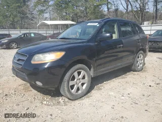 2009 Hyundai Santa Fe SE with VIN 5NMSH13E69H301612, listed as a Copart auction lot 49039005 with 214,882 mi miles and Salvage Title. Bid and sale history available at carsss.com. Image 1.