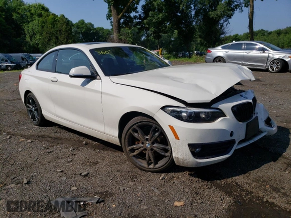 2018 BMW 2 Series 230i xDrive with VIN WBA2J3C52JVA52359, listed as a Copart auction lot 61060403 with 50,026 mi miles and . Bid and sale history available at DreamBid. Image 4.