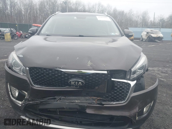 2016 Kia Sorento EX with VIN 5XYPHDA57GG007122, listed as a IAAI auction lot 41866081 with 79,534 mi miles. Bid and sale history available at carsss.com. Image 6.