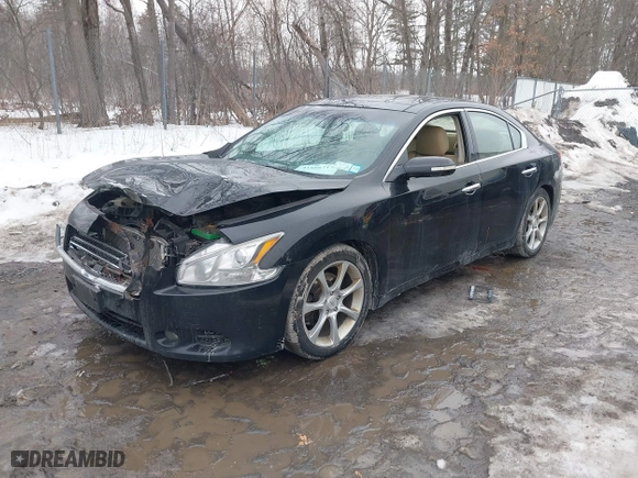 2009 Nissan Maxima 3.5 SV w/Sport Pkg with VIN 1N4AA51E09C842086, listed as a IAAI auction lot 41666717 with 219,377 mi miles. Bid and sale history available at carsss.com. Image 17.
