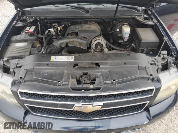 2009 Chevrolet Tahoe LS with VIN 1GNEC13389R209172, listed as a Copart auction lot 58246725 with 216,286 mi miles and Clean title. Bid and sale history available at DreamBid. Image 11.