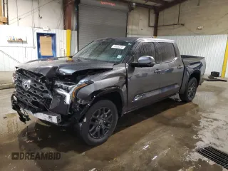 2022 Toyota Tundra Platinum with VIN 5TFNA5DB0NX019500, listed as a Copart auction lot 78663374 with 26,405 mi miles and Salvage title. Bid and sale history available at DreamBid. Image 1.