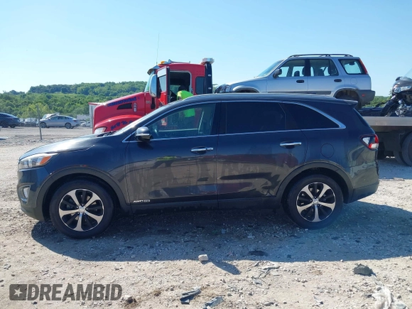 2016 Kia Sorento EX with VIN 5XYPHDA52GG158367, listed as a IAAI auction lot 42205813 with 188,654 mi miles and . Bid and sale history available at DreamBid. Image 14.