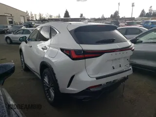 2022 Lexus NX with VIN JTJHKCEZ2N2005490, listed as a Copart auction lot 50344684 with 21,937 mi miles and Salvage Title. Bid and sale history available at carsss.com. Image 2.