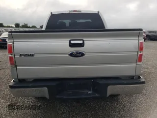 2009 Ford F-150 XLT with VIN 1FTRX14V79FA98856, listed as a Copart auction lot 60135115 with Not provided miles and Salvage title. Bid and sale history available at DreamBid. Image 6.