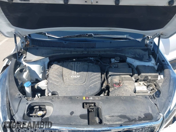 2017 Kia Sorento LX with VIN 5XYPGDA59HG307040, listed as a IAAI auction lot 42125920 with 125,303 mi miles and . Bid and sale history available at carsss.com. Image 10.