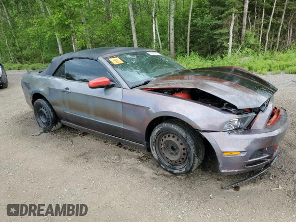 2013 Ford Mustang V6 with VIN 1ZVBP8EMXD5213980, listed as a Copart auction lot 60423625 with 220,419 mi miles and Salvage title. Bid and sale history available at DreamBid. Image 4.