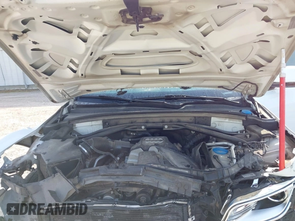 2015 Audi Q5 Premium Plus с VIN WA1DGAFP1FA090411, выставлен на аукционе IAAI как лот 41776189 с пробегом 117 080 миль миль и . История ставок и продаж доступна на DreamBid. Изображение 10.