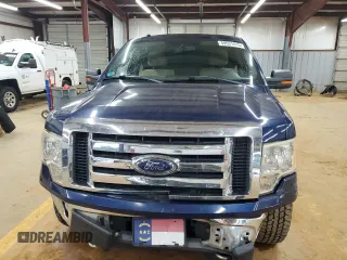 2009 Ford F-150 XL with VIN 1FTPW14V09FB11277, listed as a Copart auction lot 59531415 with 186,572 mi miles and Salvage title. Bid and sale history available at DreamBid. Image 5.