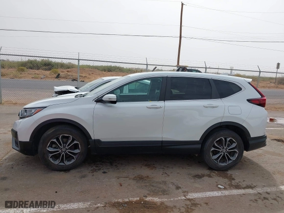 2022 Honda CR-V EX with VIN 7FARW2H50NE052730, listed as a IAAI auction lot 40717699 with 19,514 mi miles. Bid and sale history available at carsss.com. Image 14.