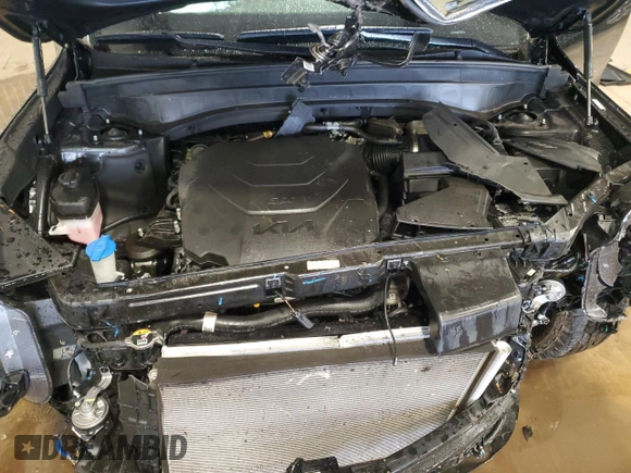 2024 Kia Telluride SX Prestige X-Pro with VIN 5XYP5DGC1RG498689, listed as a Copart auction lot 56469975 with 21,452 mi miles and Salvage title. Bid and sale history available at DreamBid. Image 12.