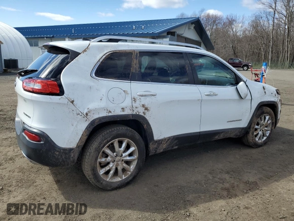 2016 Jeep Cherokee Limited with VIN 1C4PJMDS5GW188410, listed as a Copart auction lot 53299065 with 89,510 mi miles and Salvage Title. Bid and sale history available at DreamBid. Image 3.