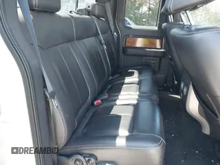 2009 Ford F-150 XLT with VIN 1FTRX12V89KB45466, listed as a IAAI auction lot 41980331 with 187,238 mi miles and . Bid and sale history available at DreamBid. Image 8.