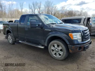 2010 Ford F-150 XL с VIN 1FTFX1EV7AFA62221, выставлен на аукционе Copart как лот 53994085 с пробегом 207 937 миль миль и Чистый • Clean title. История ставок и продаж доступна на DreamBid. Изображение 4.