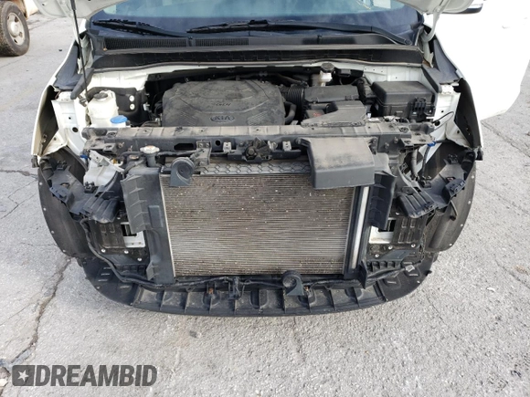 2019 Kia Sedona EX with VIN KNDMB5C16K6516618, listed as a Copart auction lot 86349264 with 48,046 mi miles and Salvage Title. Bid and sale history available at carsss.com. Image 12.