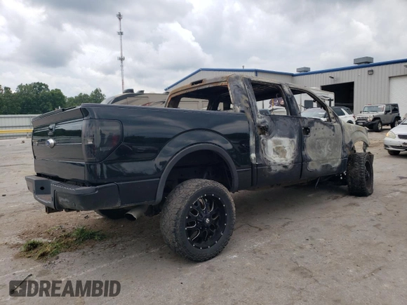 2012 Ford F-150 XL with VIN 1FTFW1EFXCFA29065, listed as a Copart auction lot 62226564 with Not provided miles and Non repairable. Bid and sale history available at DreamBid. Image 3.