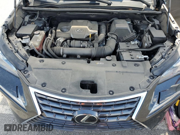 2019 Lexus NX 300 with VIN JTJBARBZ3K2203877, listed as a Copart auction lot 57160035 with 46,238 mi miles and Salvage title. Bid and sale history available at DreamBid. Image 12.