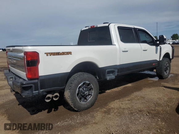 2023 Ford F-350 XL with VIN 1FT8W3BM8PEC75180, listed as a Copart auction lot 66395725 with 110,294 mi miles and Salvage title. Bid and sale history available at DreamBid. Image 3.