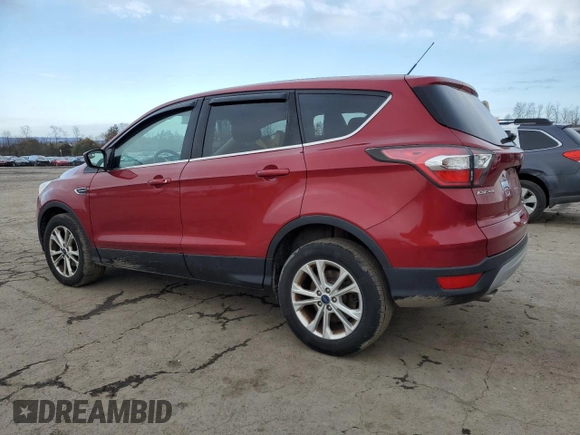 2017 Ford Escape SE with VIN 1FMCU0GD4HUA35103, listed as a Copart auction lot 50725215 with 123,937 mi miles and Salvage Title. Bid and sale history available at carsss.com. Image 2.