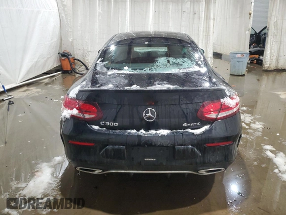 2023 Mercedes-Benz C 300 with VIN W1KWJ8EBXPG117463, listed as a Copart auction lot 88074365 with Not Provided miles and Salvage Title. Bid and sale history available at DreamBid. Image 6.