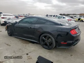 2023 Ford Mustang EcoBoost with VIN 1FA6P8TH6P5102170, listed as a Copart auction lot 45191565 with 0 mi miles and Salvage Title. Bid and sale history available at carsss.com. Image 2.