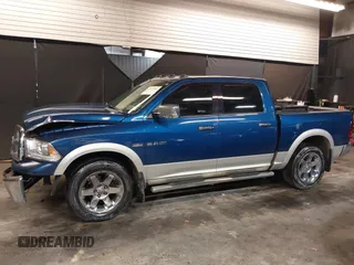 2009 Dodge 1500 SLT с VIN 1D3HV13T69S757414, выставлен на аукционе IAAI как лот 42142983 с пробегом 295 855 миль миль и . История ставок и продаж доступна на DreamBid. Изображение 15.