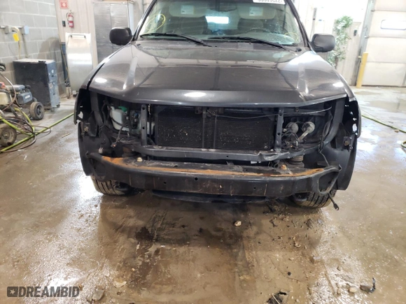 2005 Chevrolet TrailBlazer LS with VIN 1GNDT13S352160498, listed as a Copart auction lot 48407252 with NaN miles and Non Repairable. Bid and sale history available at carsss.com. Image 9.