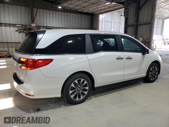 2024 Honda Odyssey EX-L with VIN 5FNRL6H68RB005052, listed as a Copart auction lot 53072325 with 34,758 mi miles and Salvage Title. Bid and sale history available at DreamBid. Image 3.