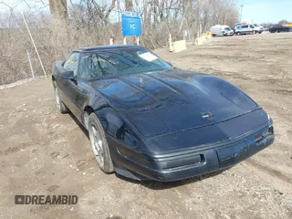 1995 Chevrolet Corvette z VIN 1G1YY22P1S5118252, wystawiony jako IAAI lot #41816716 z przebiegiem 143 210 mil mil oraz . Historia ofert i sprzedaży dostępna na DreamBid. Obrazek 1.