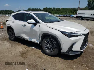 2024 Lexus NX 350 Premium with VIN 2T2GGCEZ0RC056702, listed as a Copart auction lot 62602755 with 13,317 mi miles and Salvage title. Bid and sale history available at DreamBid. Image 4.
